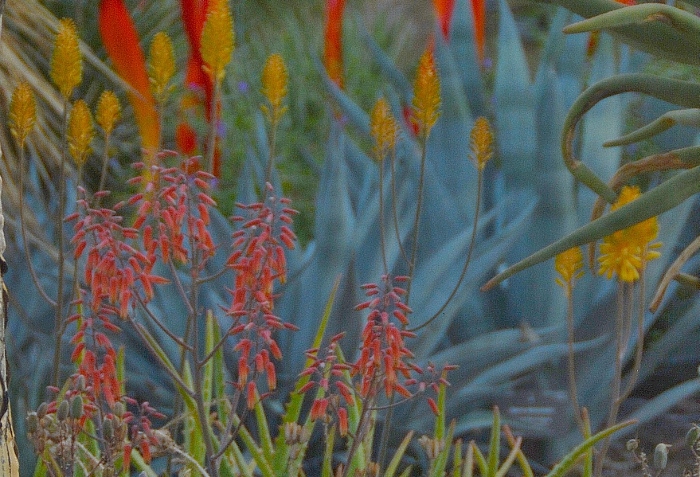 a spring mix